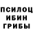 Галлюциногенные грибы Psilocybe KLinok Tv