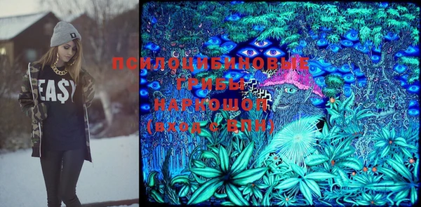 дурь Аркадак