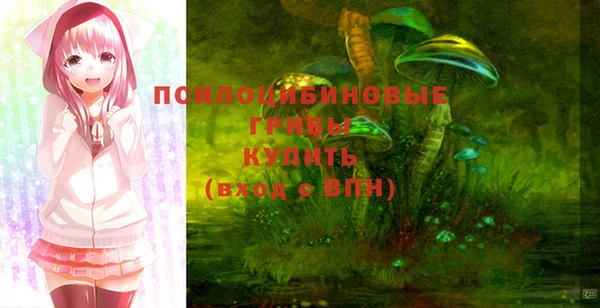 гашик Алексин