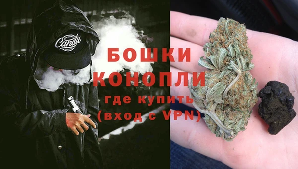 гашик Алексин