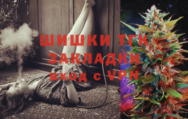 мдпв Рославль