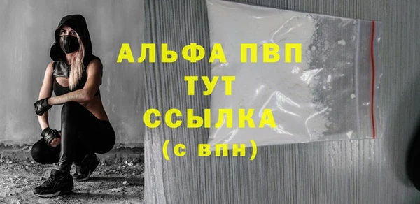 гашик Алексин