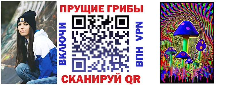 Псилоцибиновые грибы мицелий  Артёмовский 